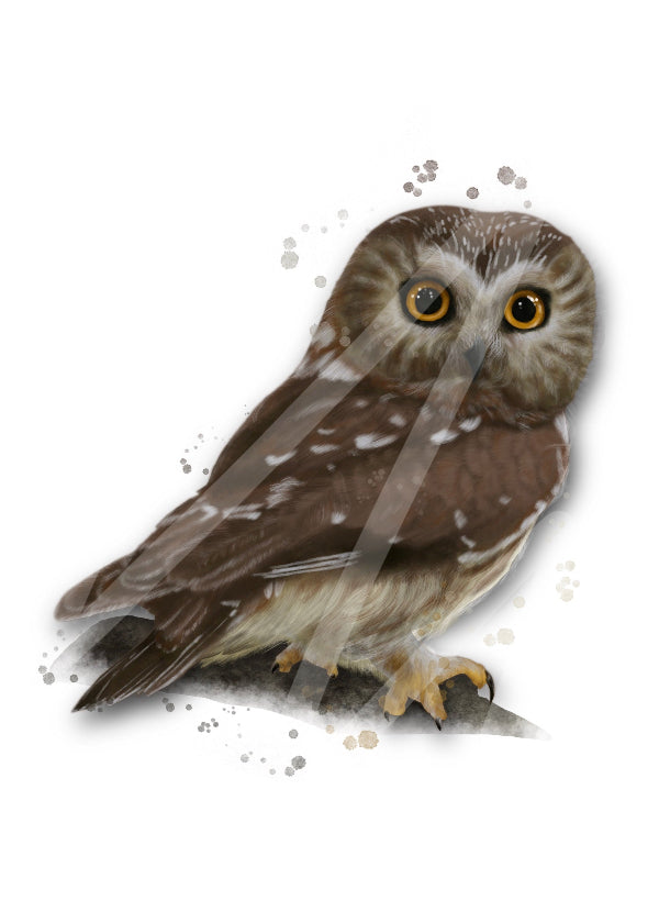 Northern Saw-Whet Owl mug